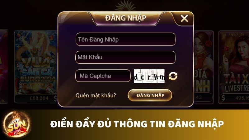 Nhấn nút “Đăng nhập” và điền đầy đủ thông tin